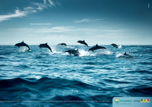 Petrobras: Dolphins