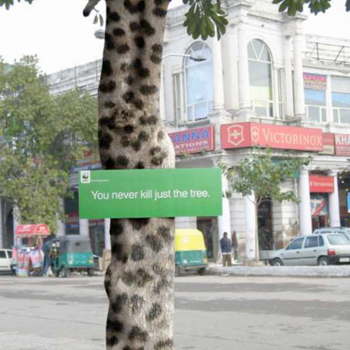 You never kill just the tree