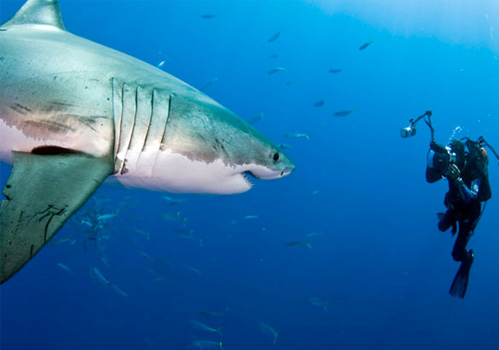 Adventure Photography