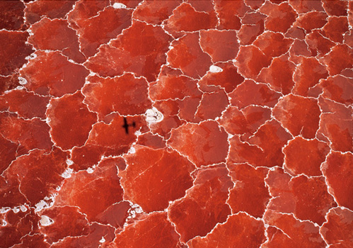 Adventure Photography