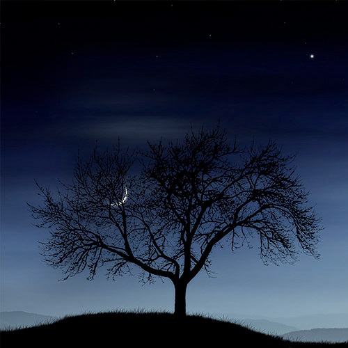 Tree and Moon