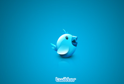 Twitter Bird 