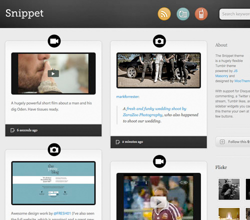 Snippet Theme