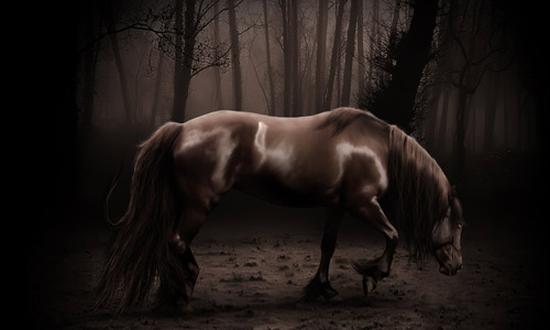 borias wallpaper 1920 x 1200